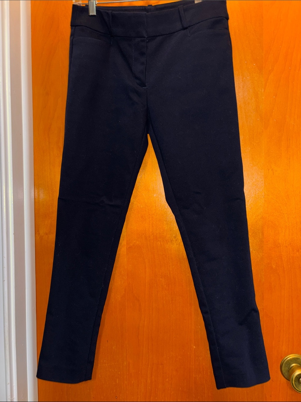 LOFT Petites Navy Ponte Pants